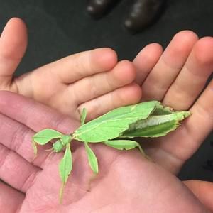 Meet your Posher, Laura